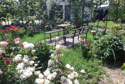 Casa de vanzare parter plus mansarda - 1