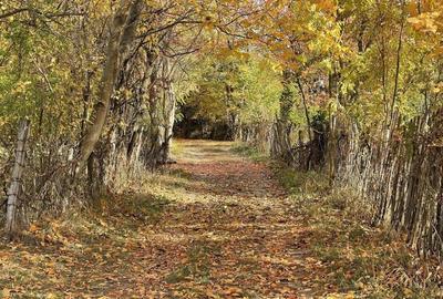 Teren Premium 1559 mp, Brebu Manastirei Refugiu Montan la 120 km de Bucuresti, - 6