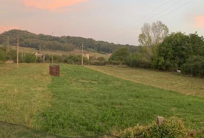 Teren de 2405 mp, în Exterior Vest - 2