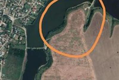 Teren Construcții intravilan de 25000 mp, în Petrăchioaia - 5