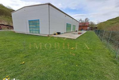 Casă cu Teren 1041 Mp în Baciu - 3