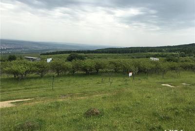 Teren de 450 mp, în Feleacu - 2