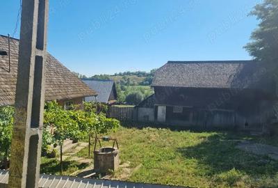 Vand casa batraneasca cu teren - 1