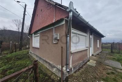 Casă cu 2 camere cu Teren 2685 Mp în Tăut - 17