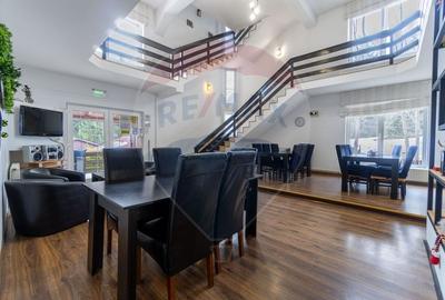 Hotel/Pensiune, de 404 mp, în Vlădeț - Trei Brazi - 19
