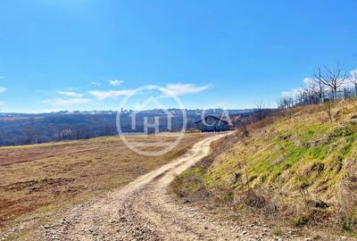 Teren 130.000 mp de vanzare in Paleu, Oradea - 3