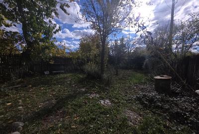 Casă cu 3 camere cu Canalizare în Viforâta - 9