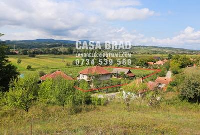 Casa mare cu ~4000mp teren plat, in zona verde, linistita, in orasul Brad, HD - 1