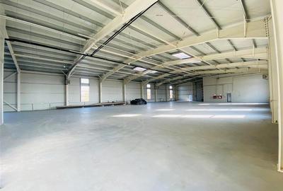Spațiu industrial, de 1,250 mp, în Lețcani - 17
