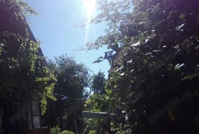 Casă cu 2 camere cu Teren 360 Mp în Crișan - 12