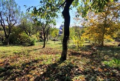 Casa oras Cisndie,la 10 km de Sibiu,comision 0 Casa oras Cisndie,la 10 km de Sibiu,comision 0 - 6