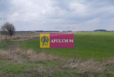 Teren Intravilan cu front stradal la un Drum Principal la... - 13