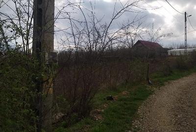 Teren de 2500 mp, în Central - 4