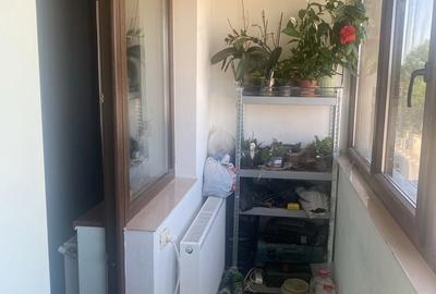 Garsonieră în Chiajna - 3