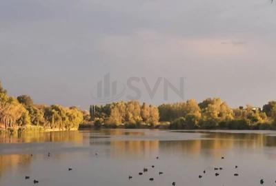 REA1024362 3 Camere l Bucur Obor l Investitie - 10