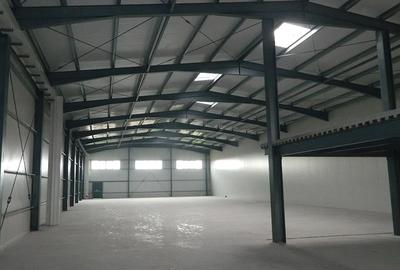 Hala noua productie / depozitare ,1000 mp , zona Aradului - 3