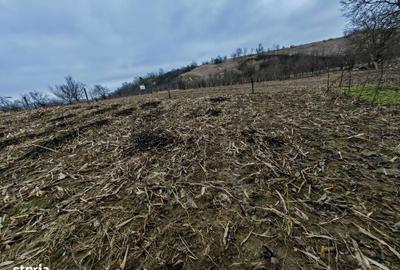 Spațiu comercial, în Măgura - 13