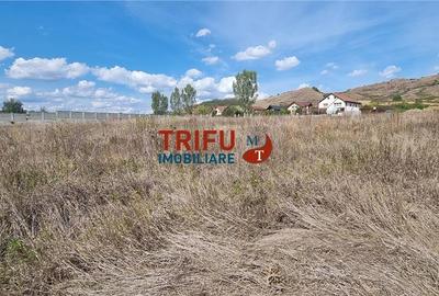 Teren intravilan 2100 mp de vanzare in Teleac la asfalt cu toate utilitatile - 2