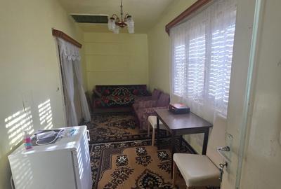 Casă cu 4 camere în Sânnicolau de Beiuș - 8