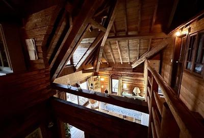 Teren Construcții intravilan de 60000 mp, în Peștera - 11