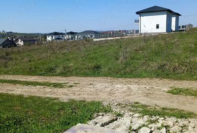 Teren de 1053 mp, în Vișan - 7