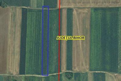 Teren de 6454 mp, în Nojorid - 2