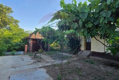 Casa de vanzare in Graniceri aproape de Arad - 19
