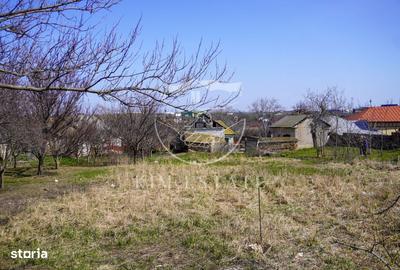 Spațiu comercial, în Lumina - 5