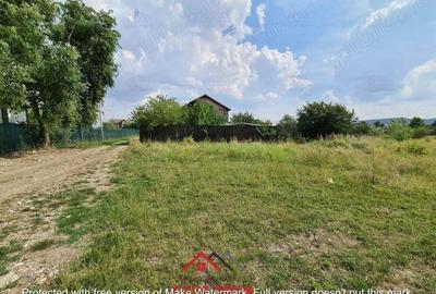 Teren intravilan in Banesti--925 m--40e - 3