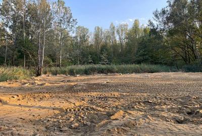 Teren 1667 MP | Zona Strand | Bulevard Dem Radulescu - 5