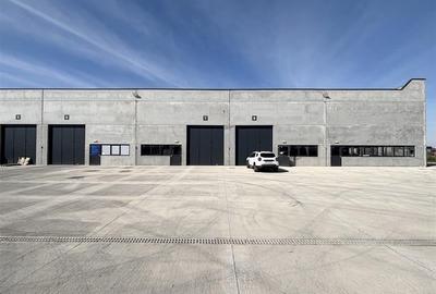 Hale industriale de inchiriat  Oradea, langa Parcul Industrial I - 4