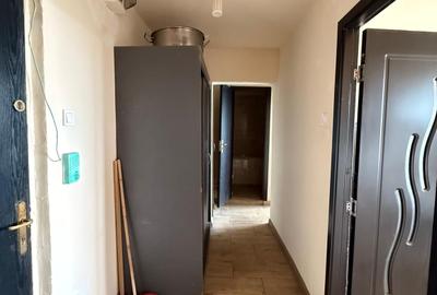 Apartament cu 2 camere decomandat în Teiul Doamnei - 4