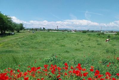 Teren de 3700 mp, în Central