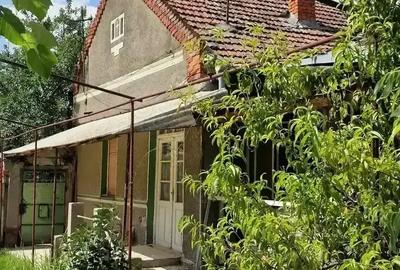 Casa si teren ideal pentru legumicultura - 3