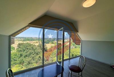 Vila cu 6camere de vanzare in Carcea/Dolj - 6