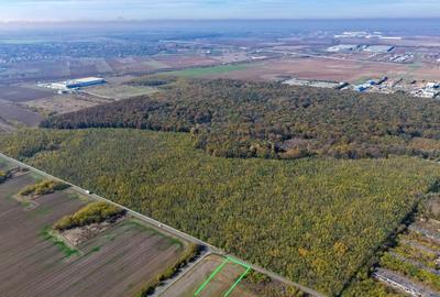 Dragomiresti Deal teren 6700 mp, padurea Ileana, utilitati, asfalt - 5