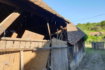 Casă cu 4 camere în Bălcaciu - 15