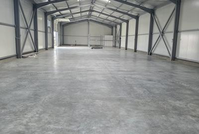 Spațiu comercial, de 600 mp, în Brazi - 13