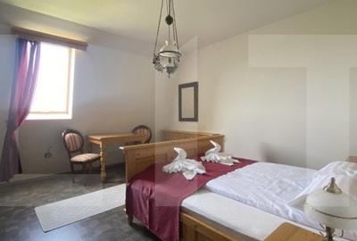 Conac de vanzare 7 camere, baie proprie, crama, ciubar si potential - 10