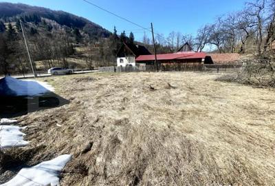 Casă cu 3 camere cu Teren 3300 Mp în Arieșeni - 7