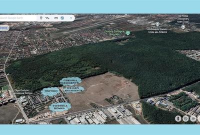 Pipera Oxford 7.500 mp - 3