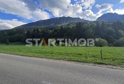 Teren intravilan Zarnesti Plaiul Foii - 13