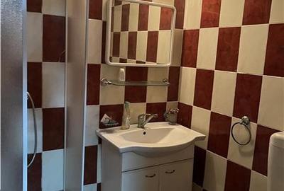 Pache Protopopescu, spatiu demisol, pretabil activitate comerciala - 7