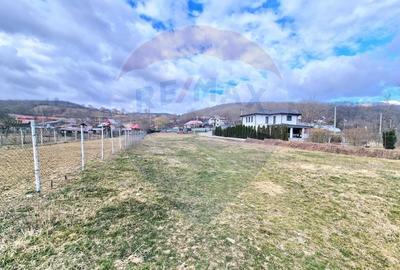 Teren Construcții intravilan de 2286 mp, în Vest - 2