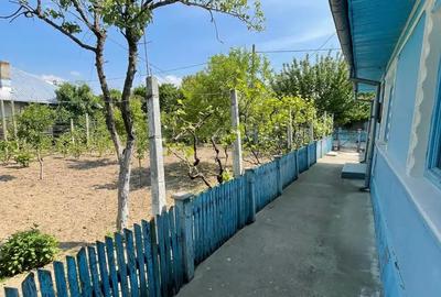 Casă cu 5 camere cu Teren 887 Mp în Bordușani - 4