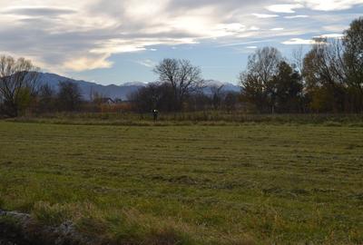 Casă individuală cu 4 camere cu Teren 500 Mp în Stupini - 18