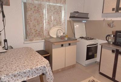 Casă individuală cu 2 camere cu Canalizare în Griviței - 4