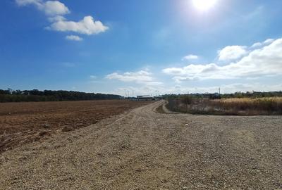 Teren în Izvorani - 8