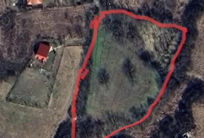 Teren de 5000 mp, în Uricani - 1
