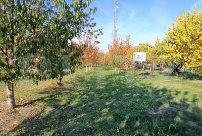 Teren Intravilan 6300 mp Magurele Prahova , Oportunitate ! - 2